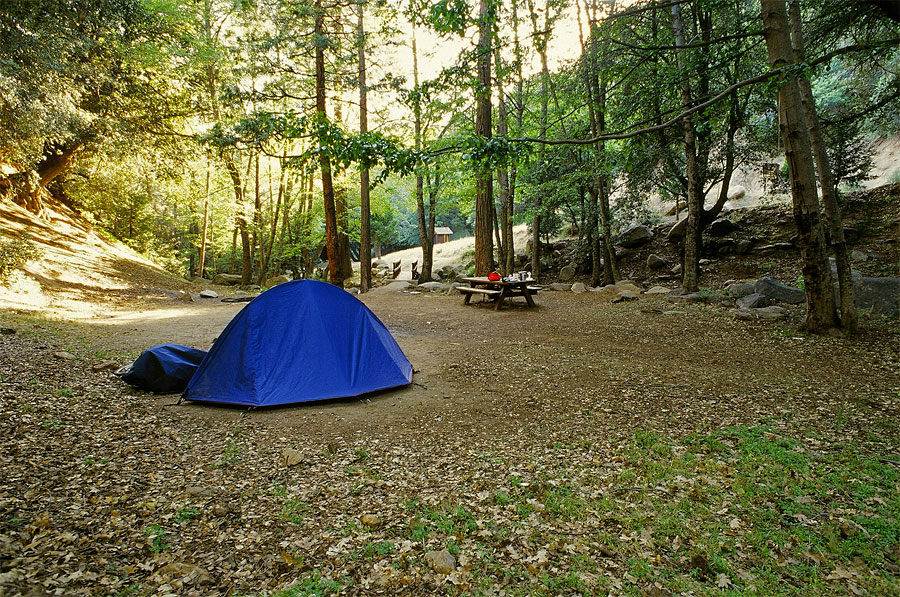 Cedar Creek campsite near Greenhorn Summit (Day 7)