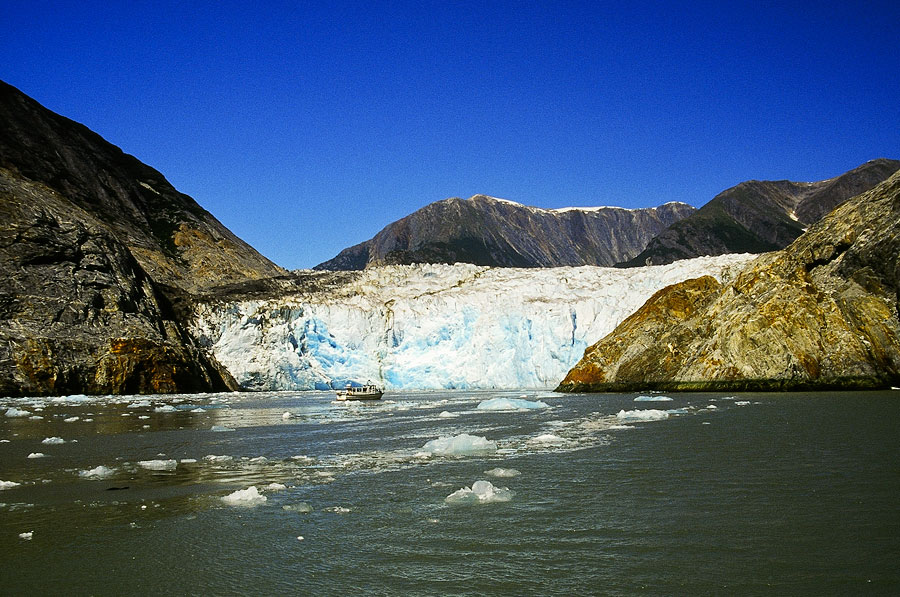 Glacier carving in Tracy Arm Fjord, Juneau (Day 99)