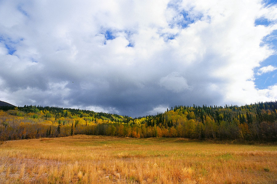 Autumn colours, Alaskan Highway, Yukon (Day 120)