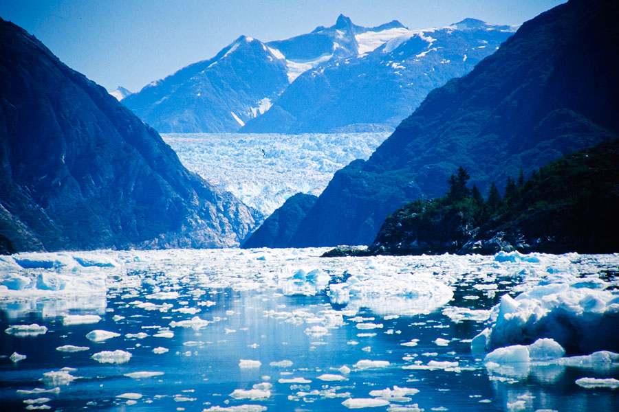 Glacier in Tracy Arm Fjord, Juneau (Day 99)