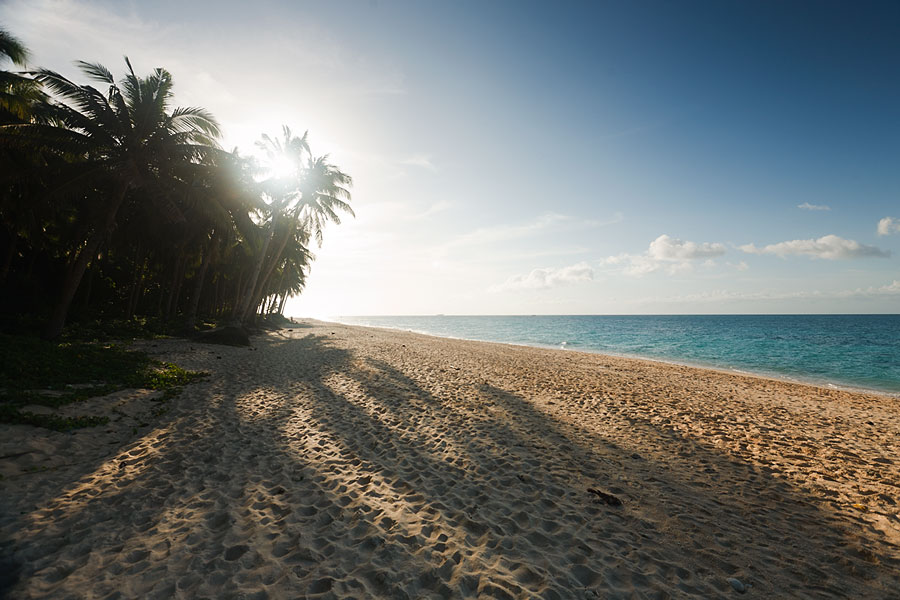 Boracay Beach palms