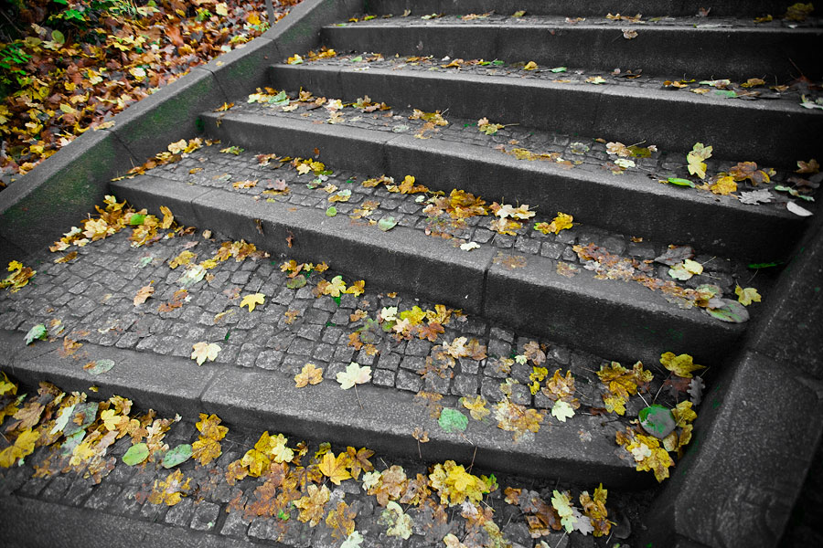 Leaves on steps