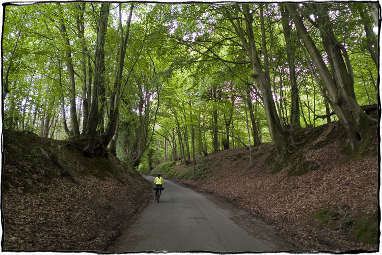 Bicycle Touring East Sussex - Cycling