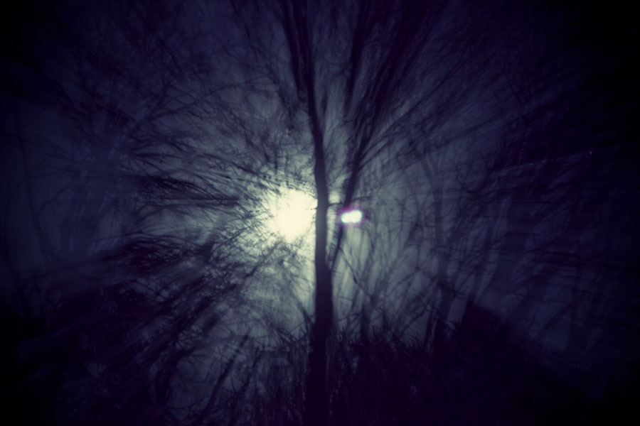 Full moon through the trees