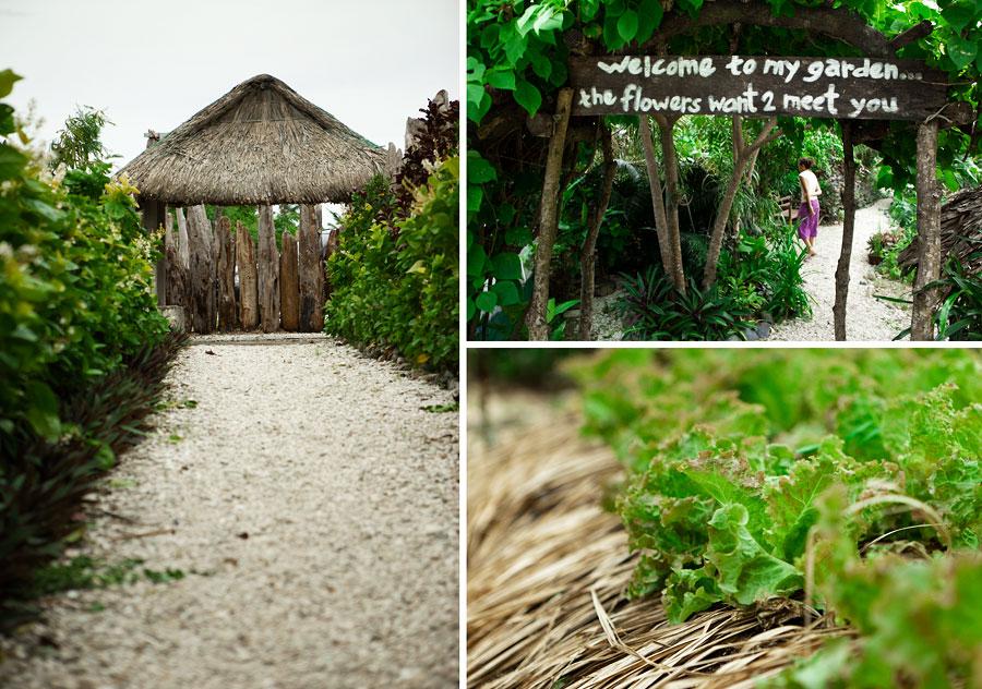 The organic gardens of Kapuluan Vista Resort beach resort, Pagudpud, Philippines