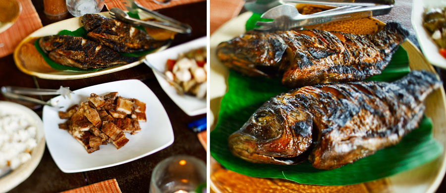 Mayumi Resort Anilao Tilapia and Port Belly