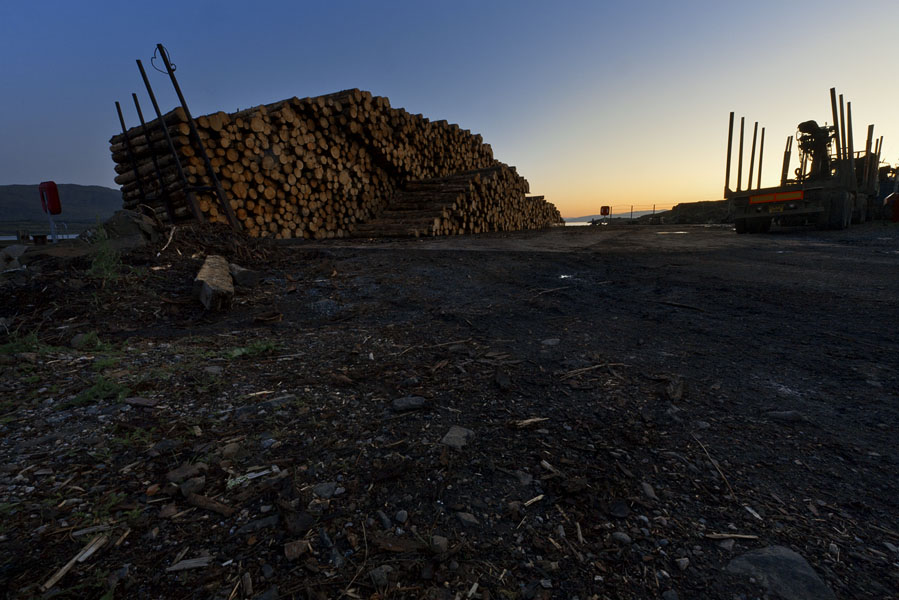 Wood pile on Isle of Mull, Scotland