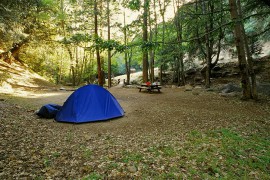 Cedar Creek Campground (10mi east of Glennville, Rest Day)